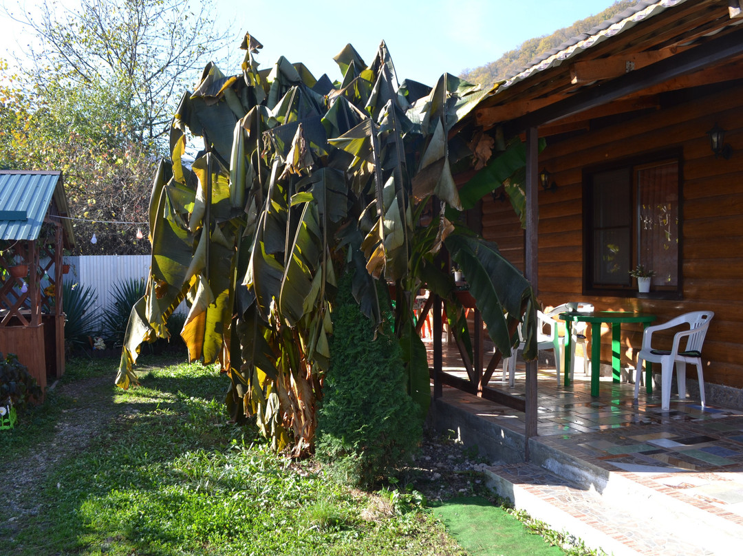 Predgorye