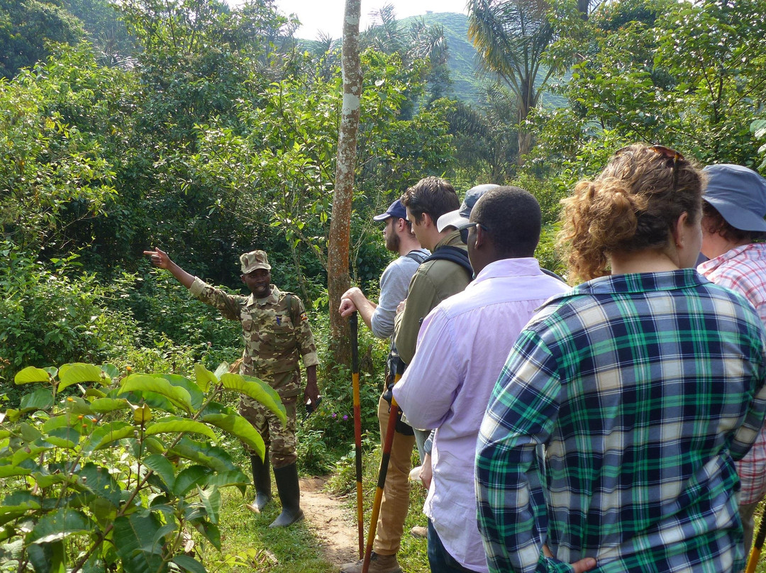 Buutu Safaris-金贾必去景点