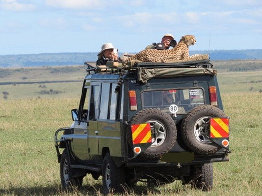 Gracepatt Safaris-Karen必去景点