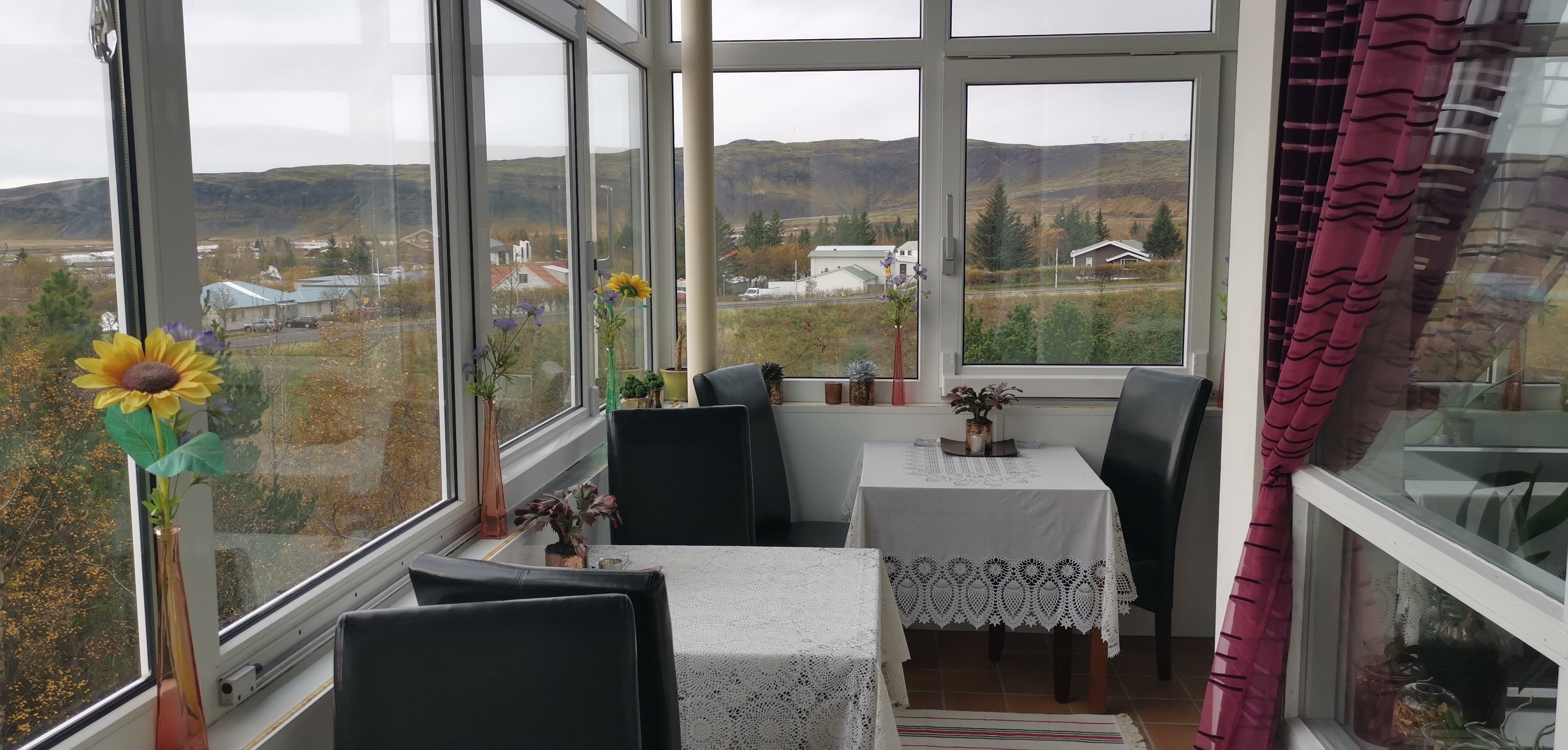 Icelands Guesthouse-餐饮