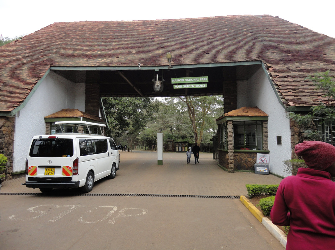 Umbato Safaris-内罗毕必去景点