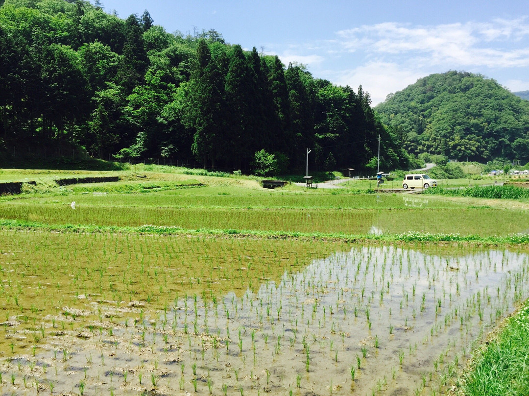 Kehara Rice Terrace景点图片