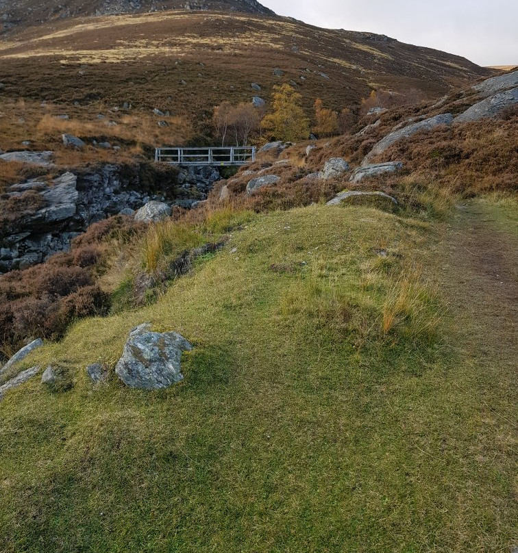 Glenesk Wildlife-Glenesk必去景点