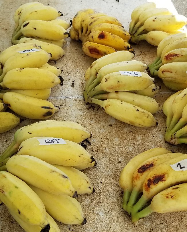 Koloa Monday Farmers Market-可洛亚必去景点