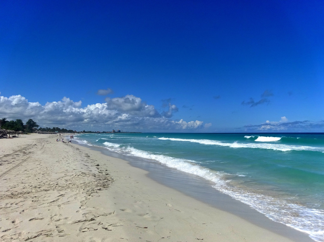 Casa Arletty Santa Marta主图