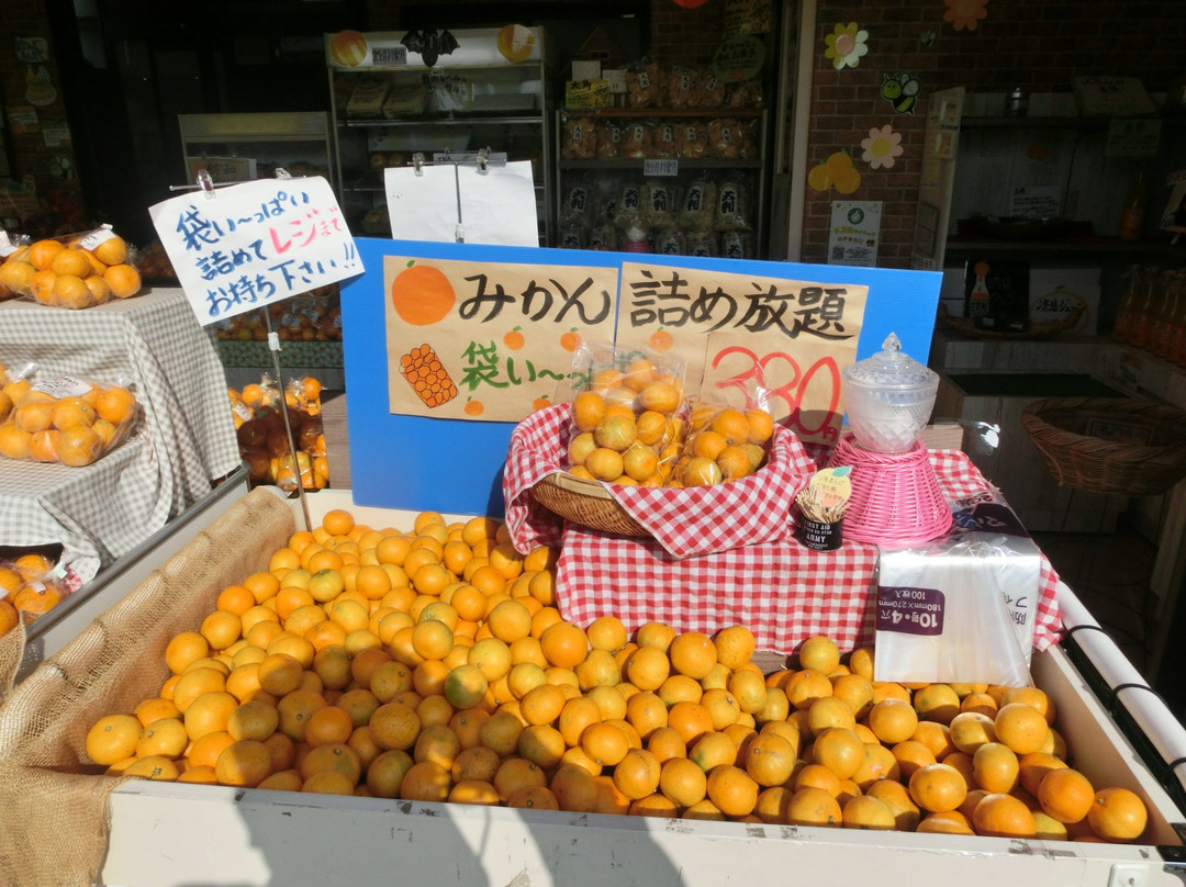 Ishizuchisan Service Area Outbound-西条市必去景点
