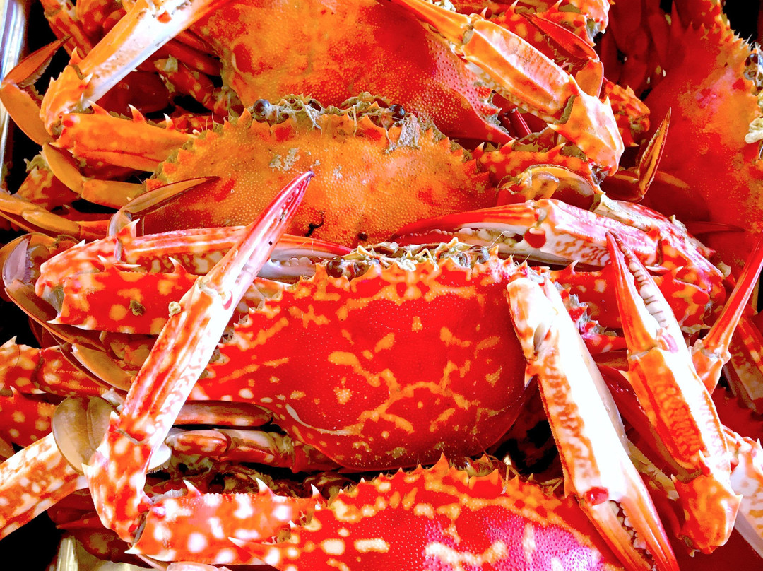 Las Islas Travel and Tours-卡尔斯必去景点