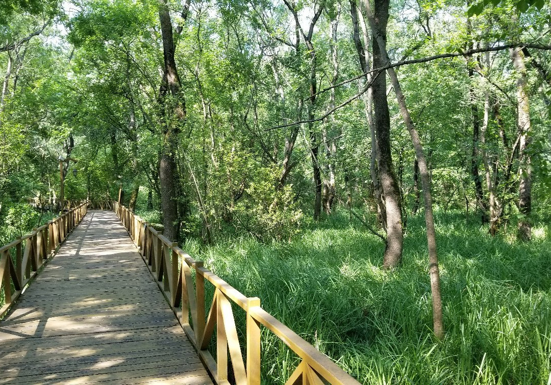 Cakirlar Korusu-Cakirlar Yali必去景点