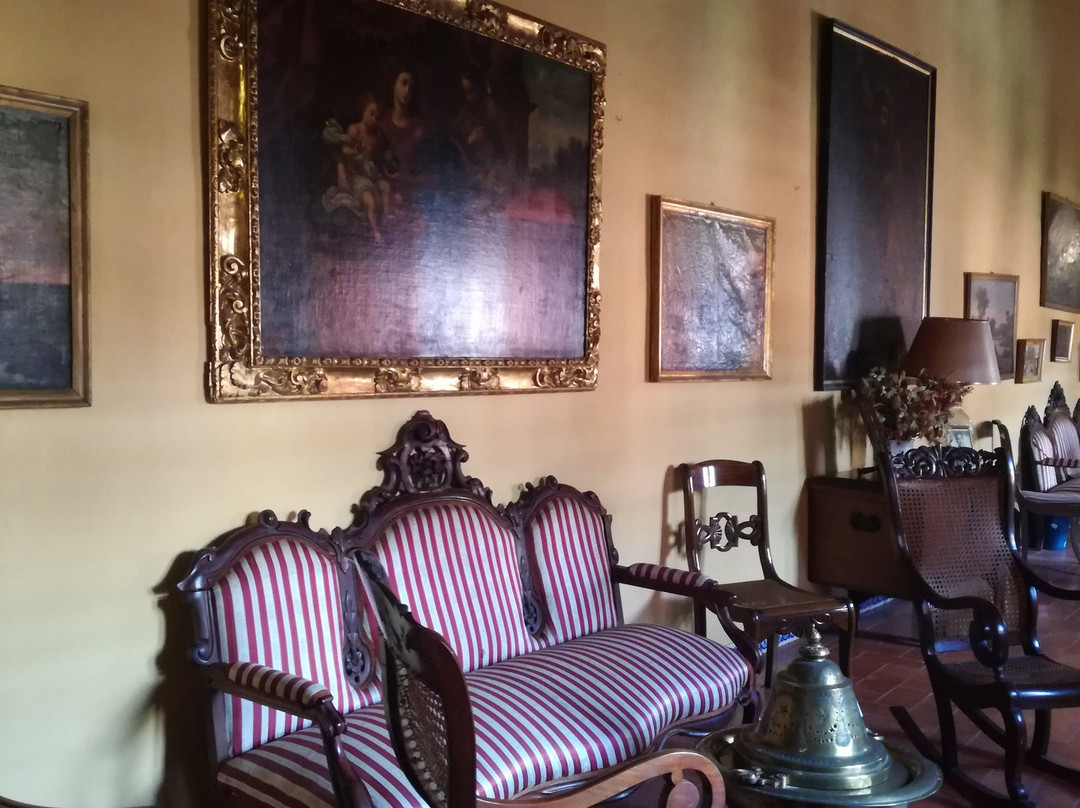Museo Palacio de Palma景点图片