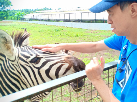 Yoki's Farm-大雅台必去景点