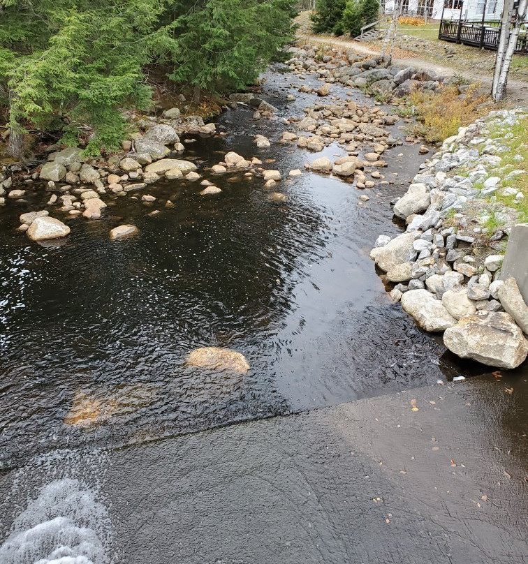 Golden Eagle Lodge主图