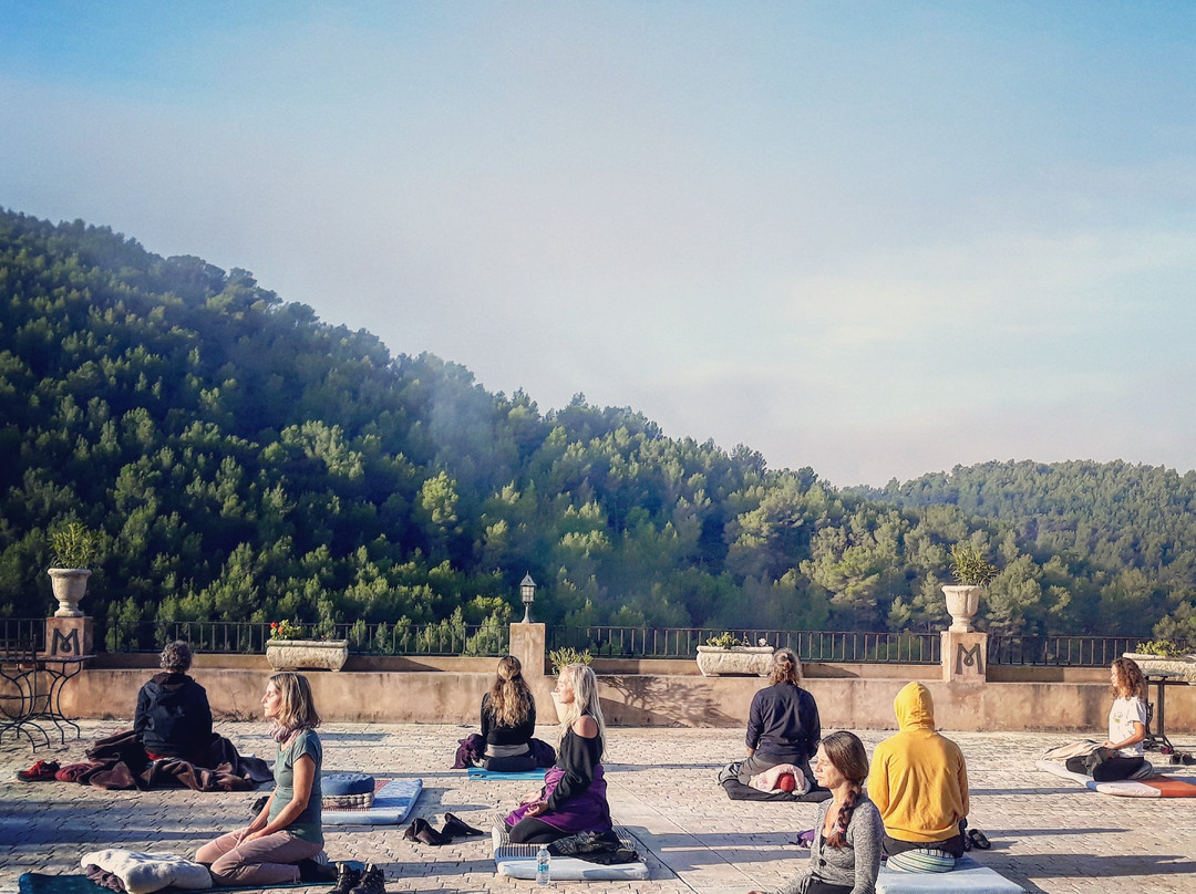 Masia De Matuta主图