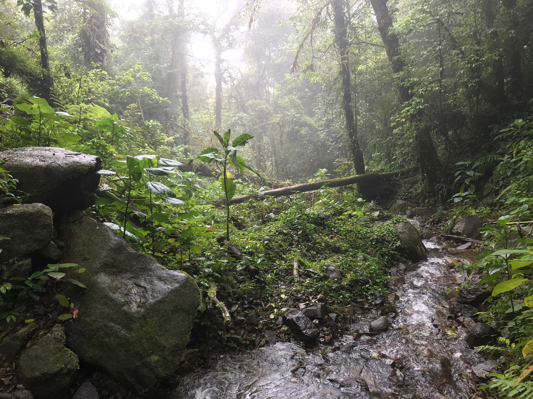 Sendero El Pianista景点图片