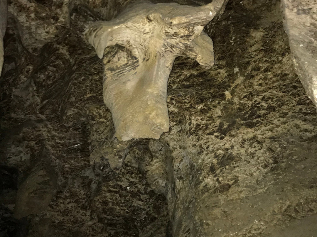 Crystal Cave at Kryvche-Kryvche必去景点