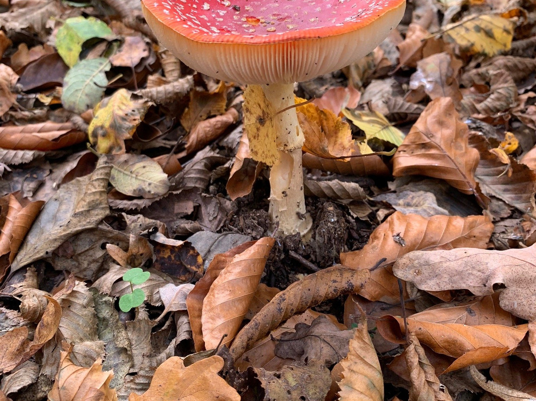 Les Lits de Nohaipré主图