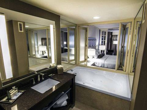 尼亚加拉瀑布景观希尔顿套房酒店主图