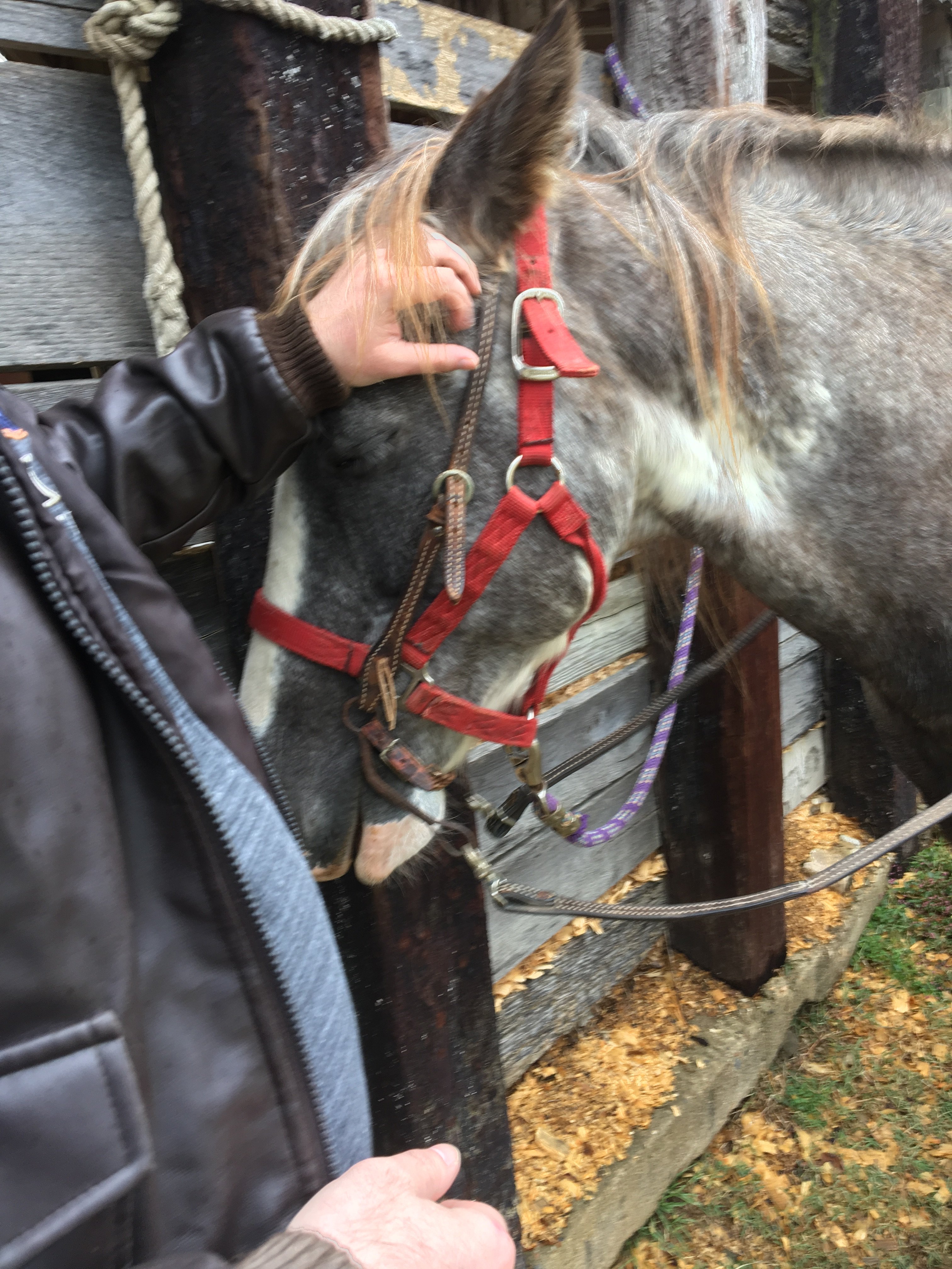 Bar Fifty Guest Ranch-官方
