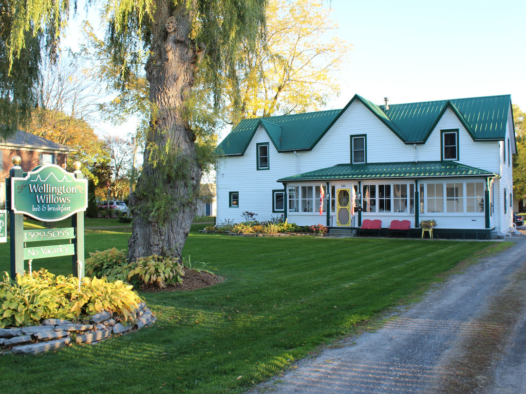 Wellington Willows Boutique B&B主图