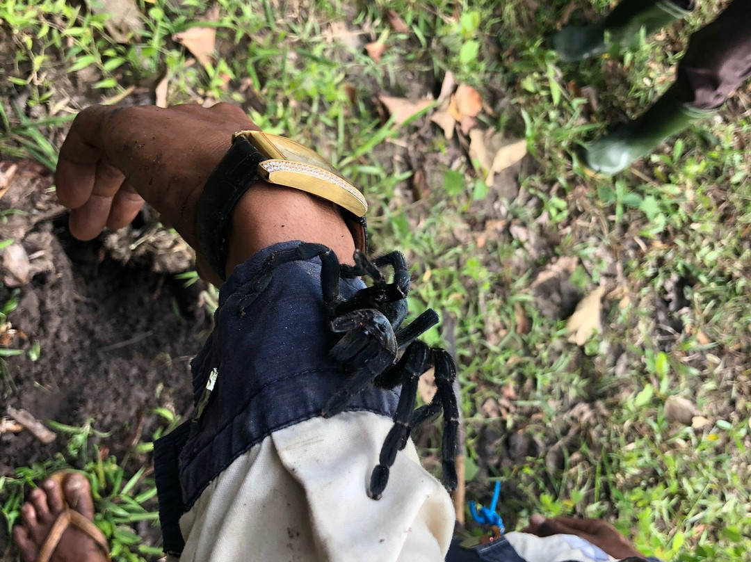 Highland Tour-邦隆必去景点