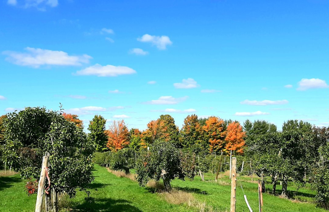 Verger Le Gros Pierre-Compton必去景点