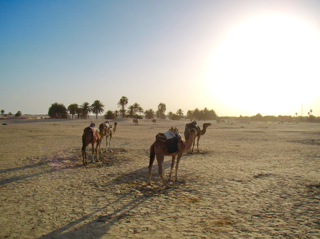 Silence Du Desert-杜兹必去景点