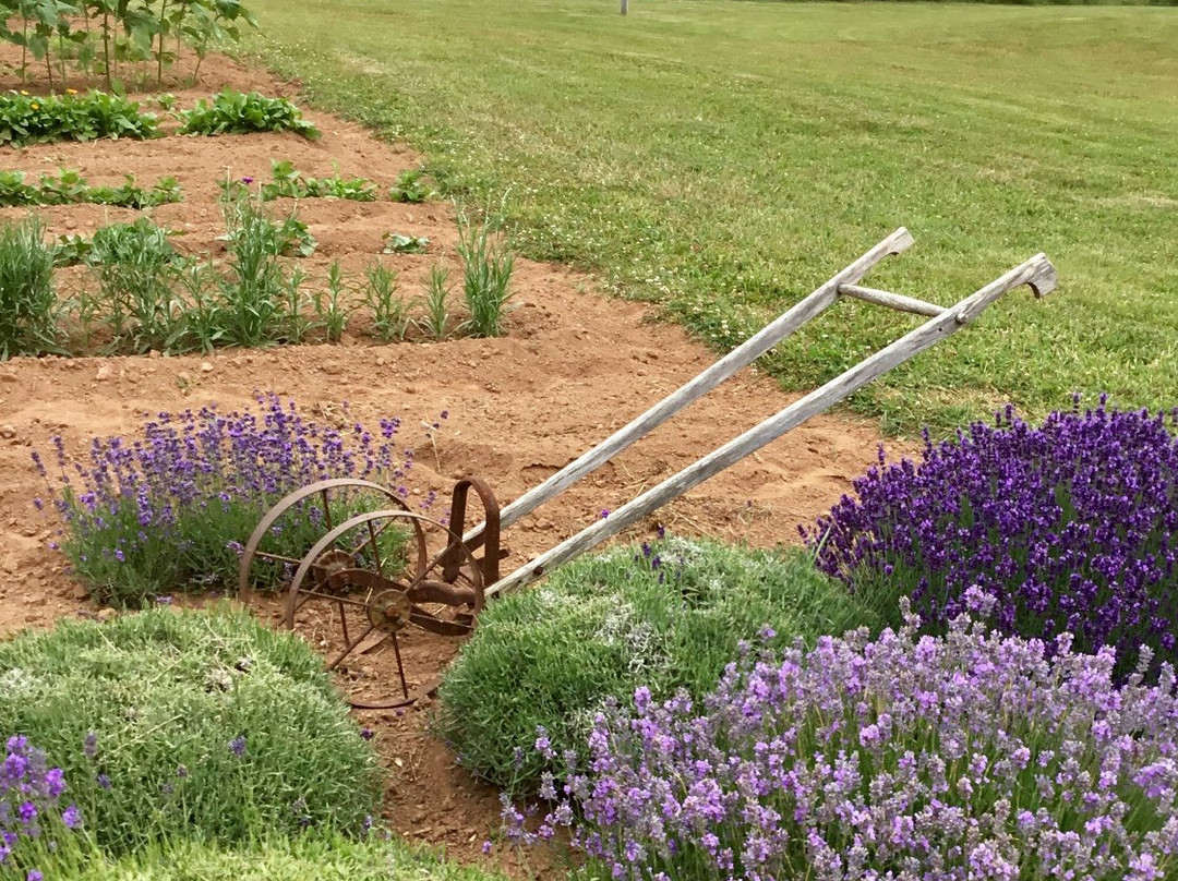 White Gables at Hope River