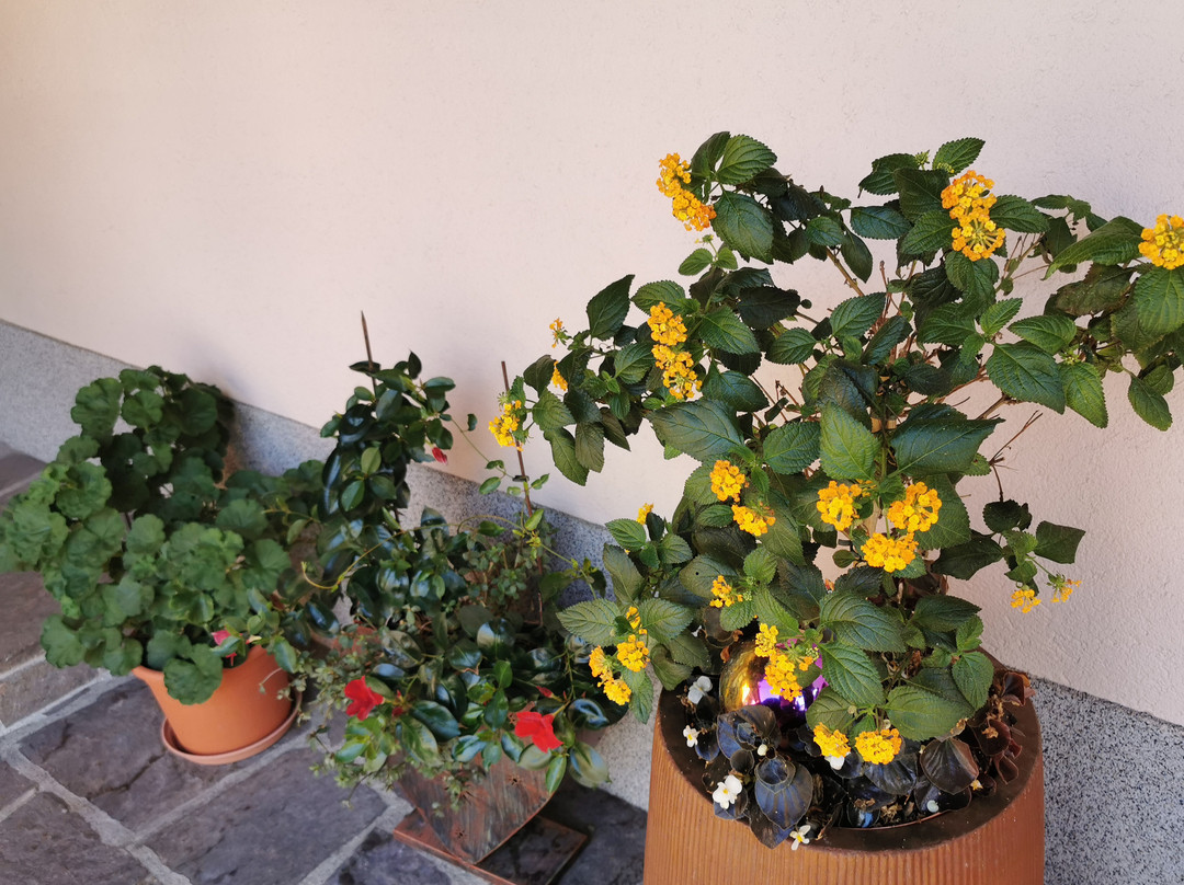 Gastehaus Spergser主图