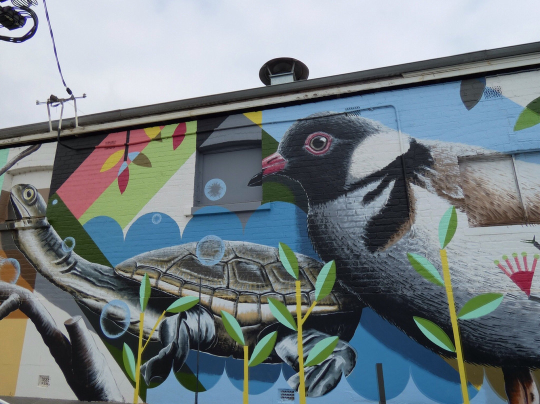 Public Silo Trail-Katanning必去景点