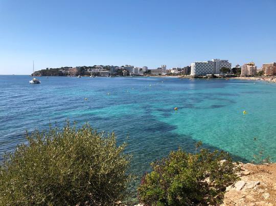 Fergus Bermudas主图