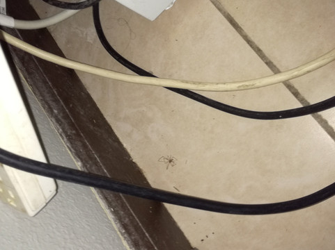 山间步道出租度假山林小屋主图