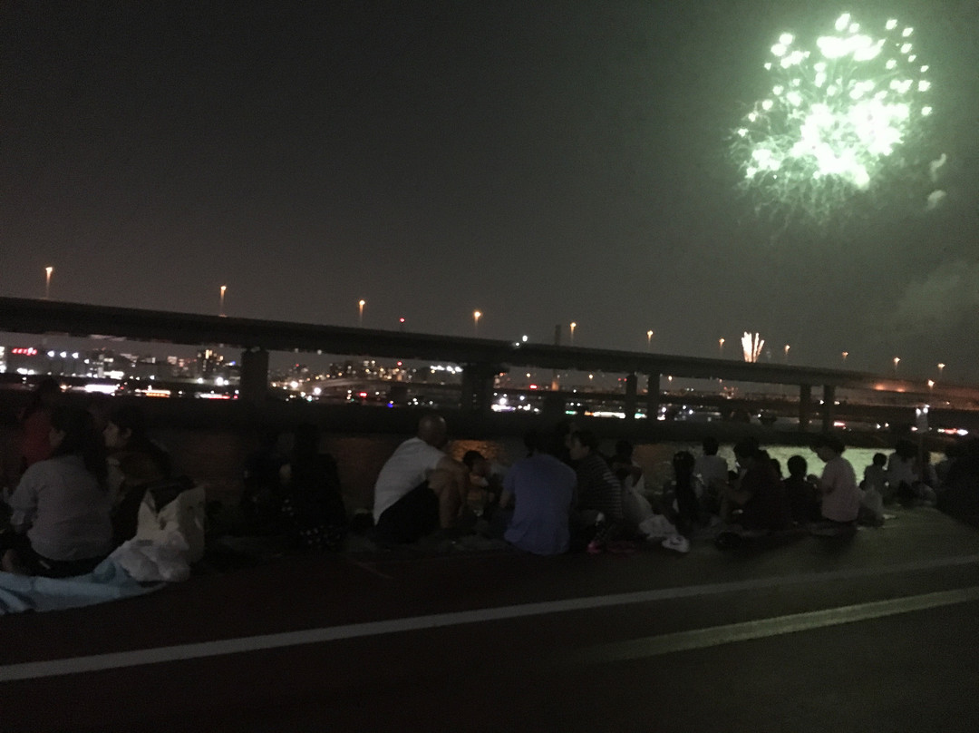 Edogawa Fireworks-江戸川区必去景点