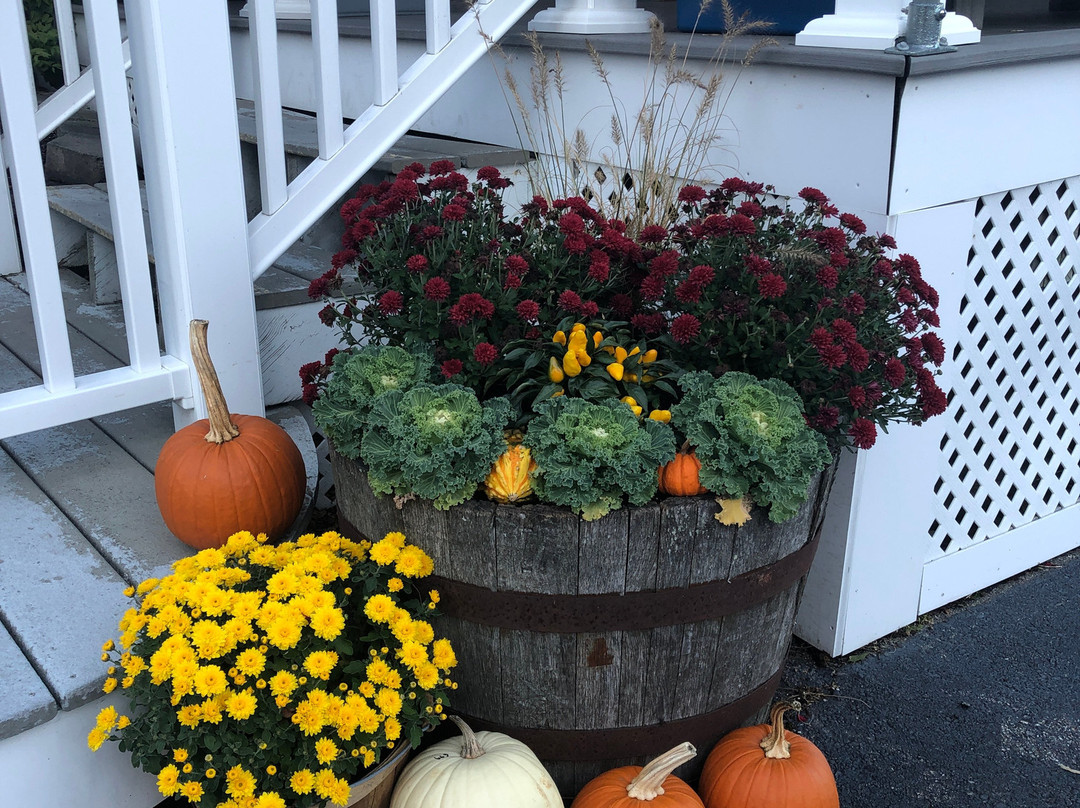 Glen Cove Inn And Suites主图