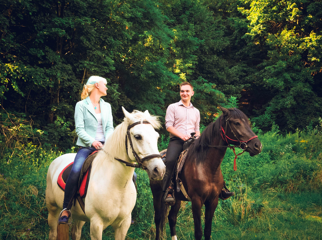 Horse riding club "Tempo"-利沃夫必去景点