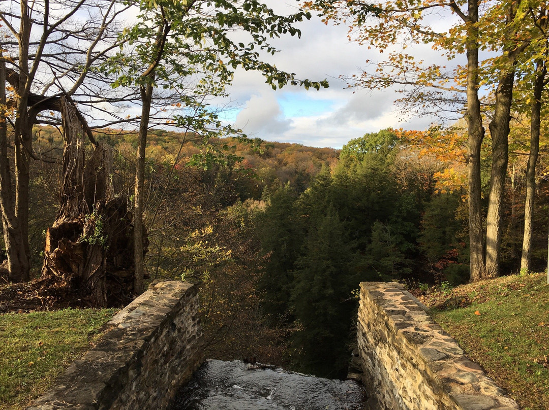 LaFayette旅游景点-Pratt's Falls Park