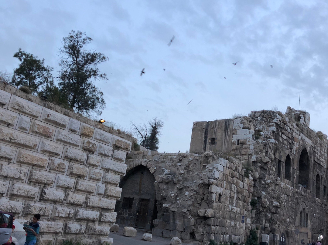 Saladin (Selahedîn) Mausoleum-大马士革必去景点