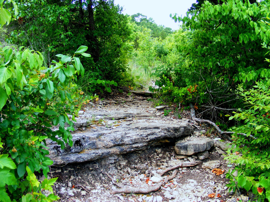 Ruth and Paul Henning Conservation Area-布兰森必去景点