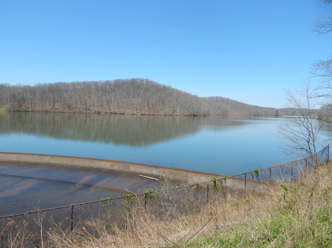 纳什维尔旅游景点-Yellowwood State Forest