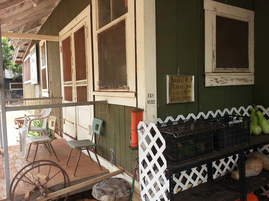 Taro Ko Factory-哈纳佩佩必去景点