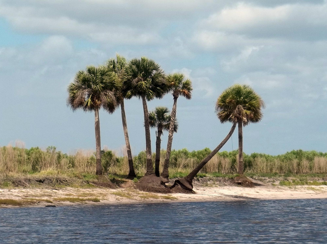 Loughman Lake Airboat Rides景点图片