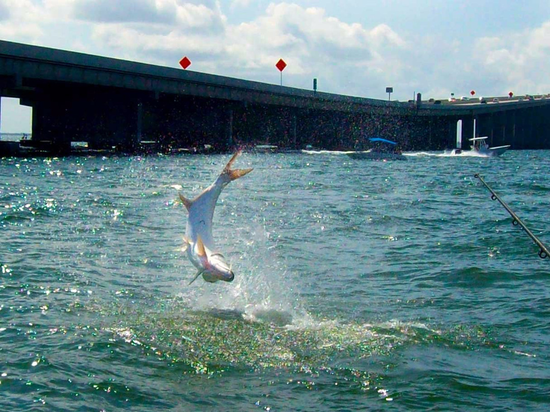 Captain Ryan Taylor Fishing Charters-布雷登顿必去景点