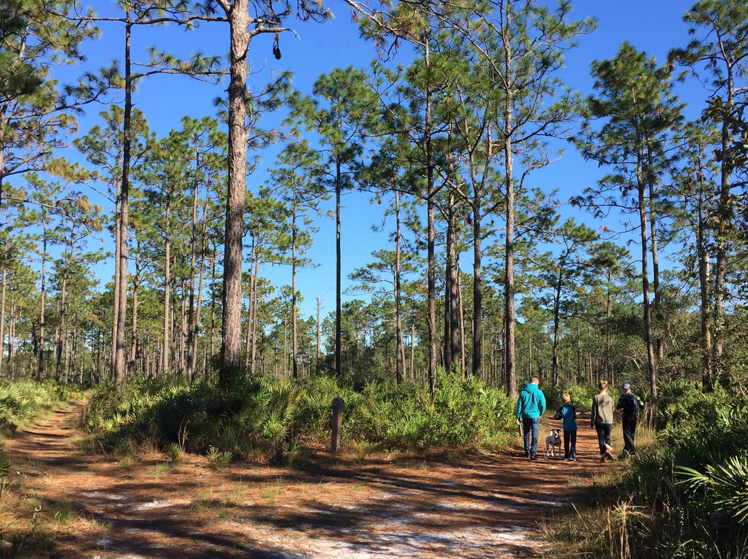 Oviedo旅游景点-Econ River Wilderness Area