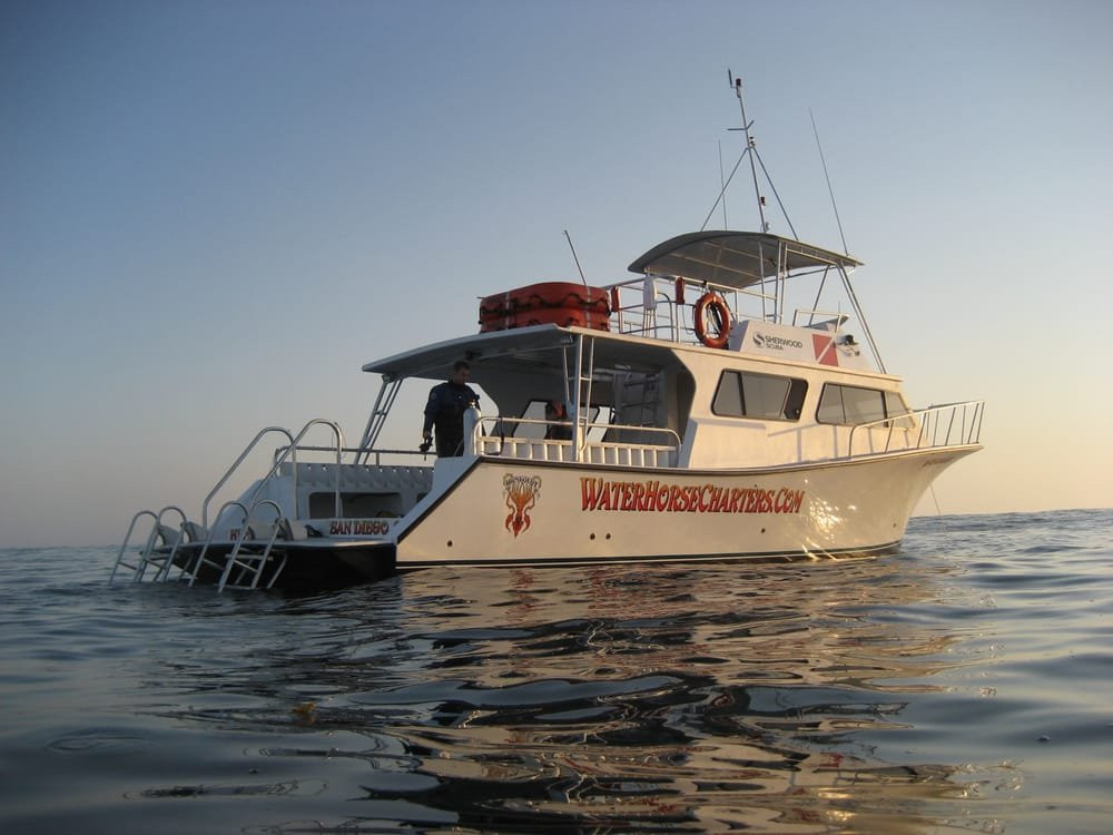 Waterhorse Charters