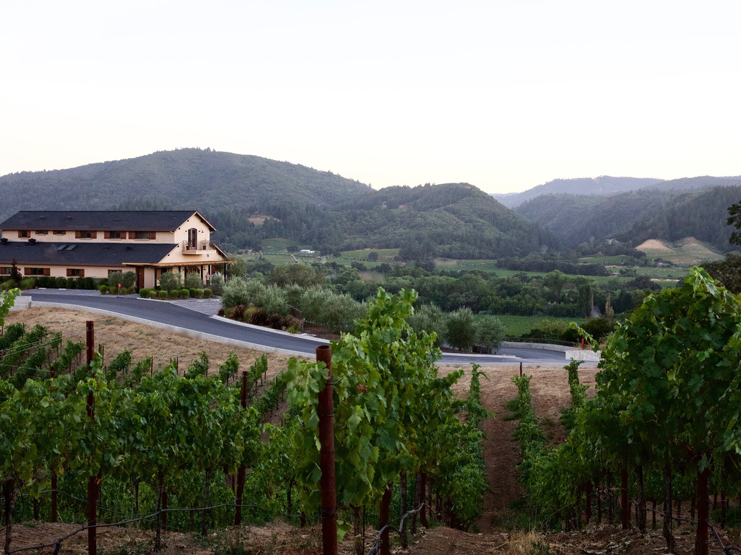 Trattore Farms and Winery景点图片