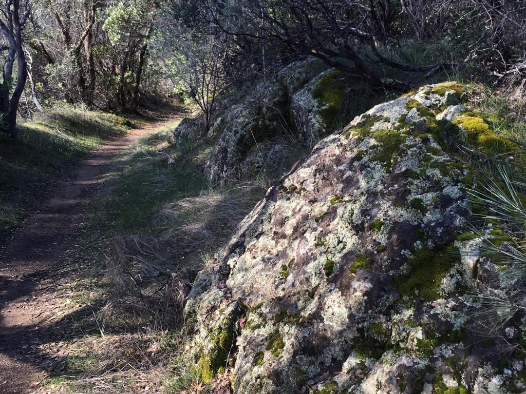 Oak Bottom Water Ditch Trail-Whiskeytown必去景点