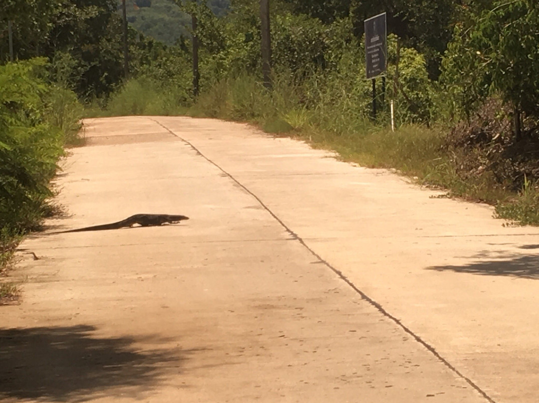 Koh Yao Yai Green Island Tour & Trip-阁耀亚伊岛必去景点