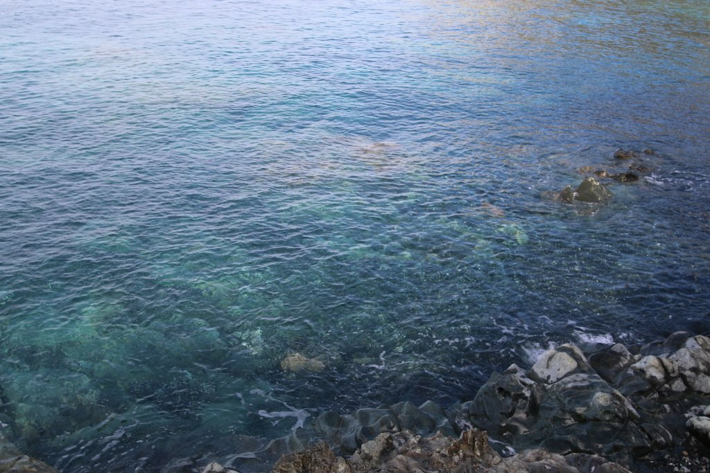 Tour d'Albo-Ogliastro必去景点