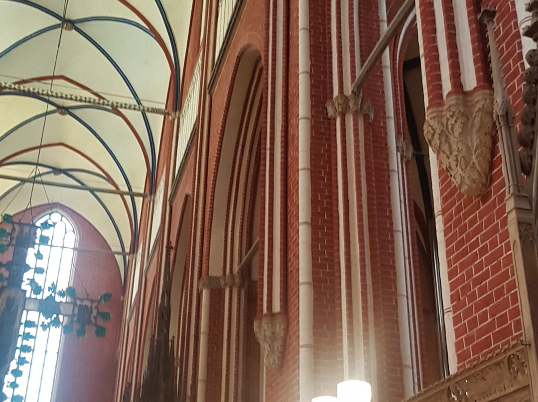 Doberaner Münster景点图片