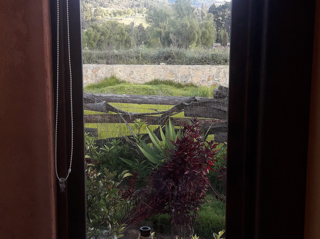 El Portal de Iza主图