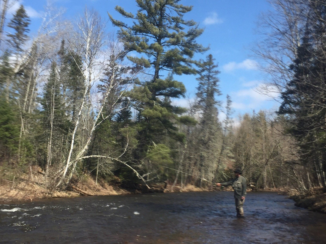Brule River State Forest景点图片