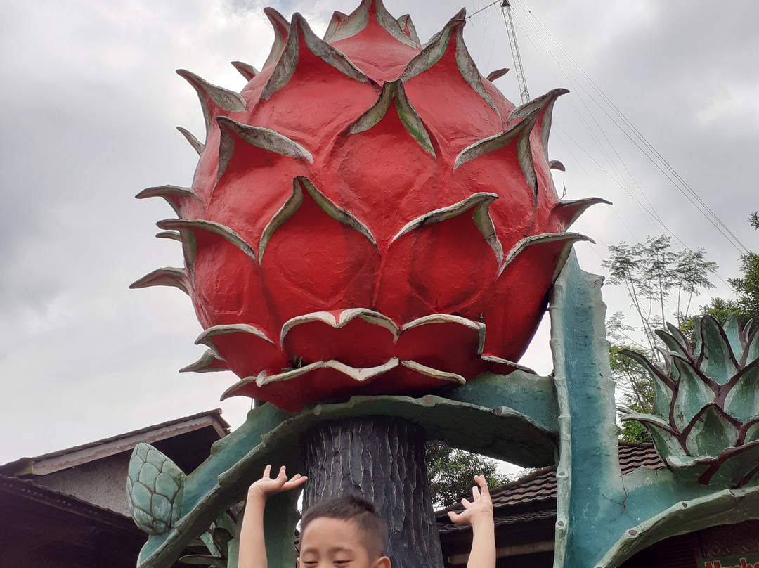 Warso Durian Farm-茂物必去景点